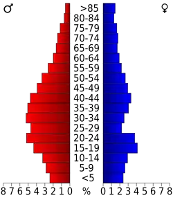 Bevolkingspiramide Union County