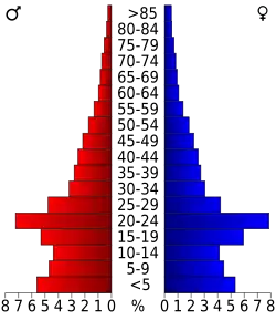 Bevolkingspiramide Utah County