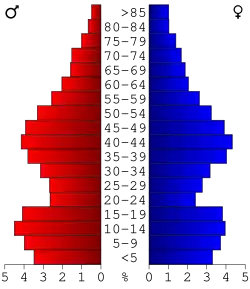 Bevolkingspiramide Van Buren County