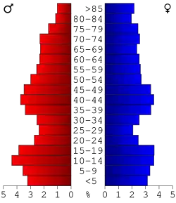 Bevolkingspiramide Wadena County