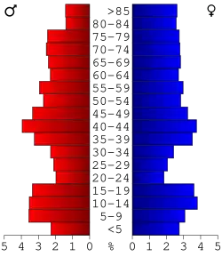 Bevolkingspiramide Wayne County