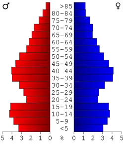 Bevolkingspiramide Wexford County