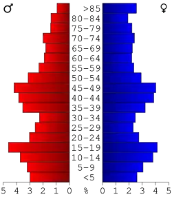 Bevolkingspiramide Winnebago County