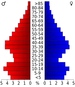 Bevolkingspiramide Wise County