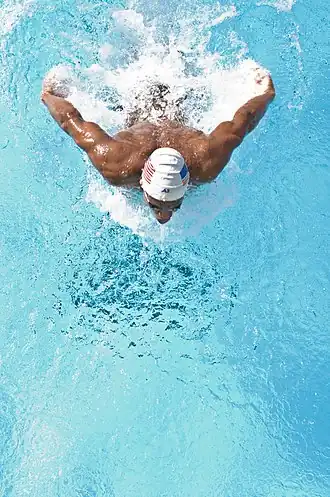 Bovenaanzicht van een zwemmer die de vlinderslag gebruikt.