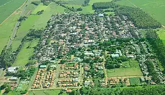 Uniflor van boven gezien