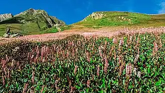 Het landschap in Pakistaans Kasjmir.