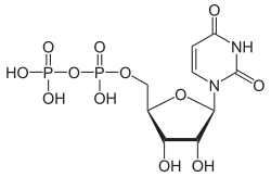 Structuurformule van uridinedifosfaat