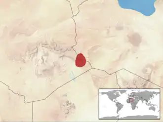 Zwarte doornstaartagame