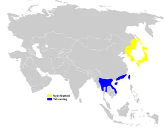 Kortstaartstruikzanger