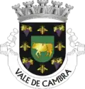 Vale de Cambra