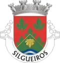 Vlag van Silgueiros