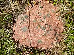 Van der Lijn-reservaat