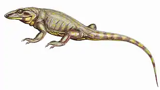 Varanodon