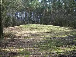 Gerestaureerde grafheuvel aan de Vasserheide en Vassergrafveld, 2012