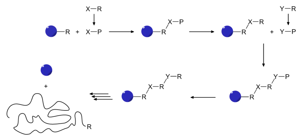 Verloop van een vastefasesynthese