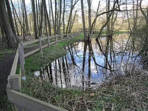 De Moorbach bij hoog water
