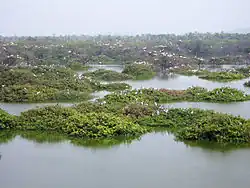 Het vogelreservaat Vedanthangal in Tamil Nadu, India