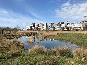 De Vuurtorenweiden anno 2021