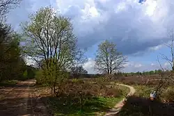 Op de Ermelose heide