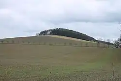 Heuvel Vepří (2019)