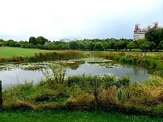 Proefvijver Rabental