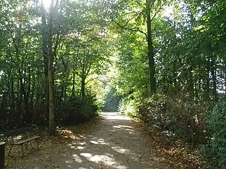 Lierse Vesten ter hoogte van de Anton Bergmannlaan