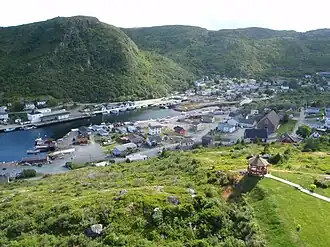 Zicht op het door heuvels omringde Petty Harbour