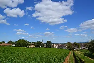 Gezicht op Chassagne-Montrachet