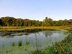 Vijver in de nieuw aangelegde slottuin te Rijs