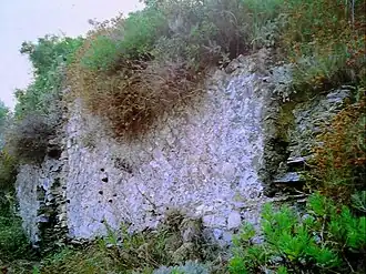 Villa romana di Capo Castello