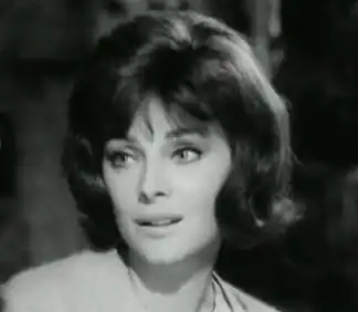 Virna Lisi in Signore e signori (1966)