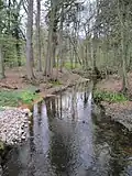 Beek bij de Bullmühle in Varnhorn, ca. 6&nbsp;km ten NO van Visbek