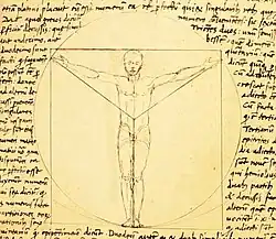 Een Vitruvian Man prototype door Giacomo Andrea, 1480er jaren