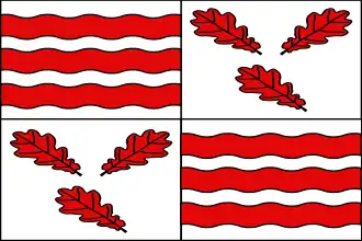 Vlag van Froidchapelle