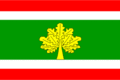 Vlag