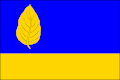 Vlag
