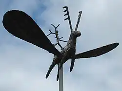 Vliegend hert in Amsterdam-Noord