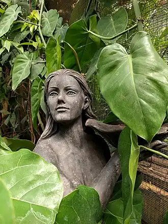 Vlinders aan de Vliet