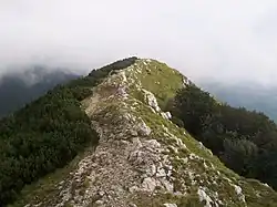 De hoogste top van Učka, Vojak