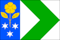 Vlag