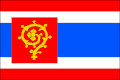 Vlag