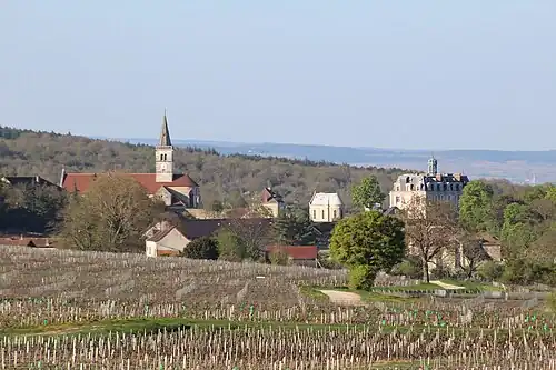 Wijngaarden bij Rully