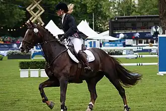 Elaine Pen en Vira (2013)