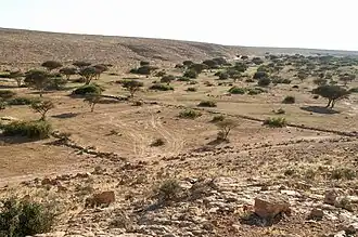 Antieke dammen in de Wadi Buzra bij Suq al-Awty