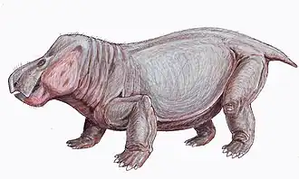 Wadiasaurus