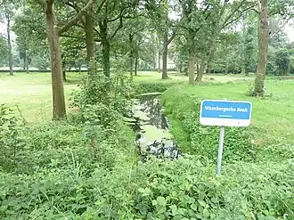 De Wambergse Beek stroomopwaarts bij Wamberg