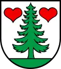 Gontenschwil