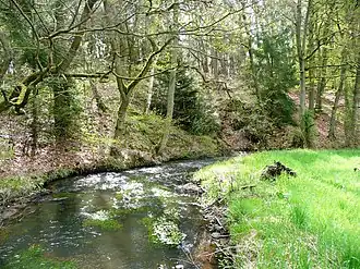 Aan de 18&nbsp;km lange Warnau, een zijbeek van de Böhme, bij Stadtteil Borg.