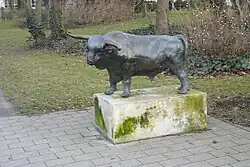 Stier in Warnemünde